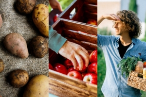 DAS Dynamisch Aankoop Systeem inkoop food